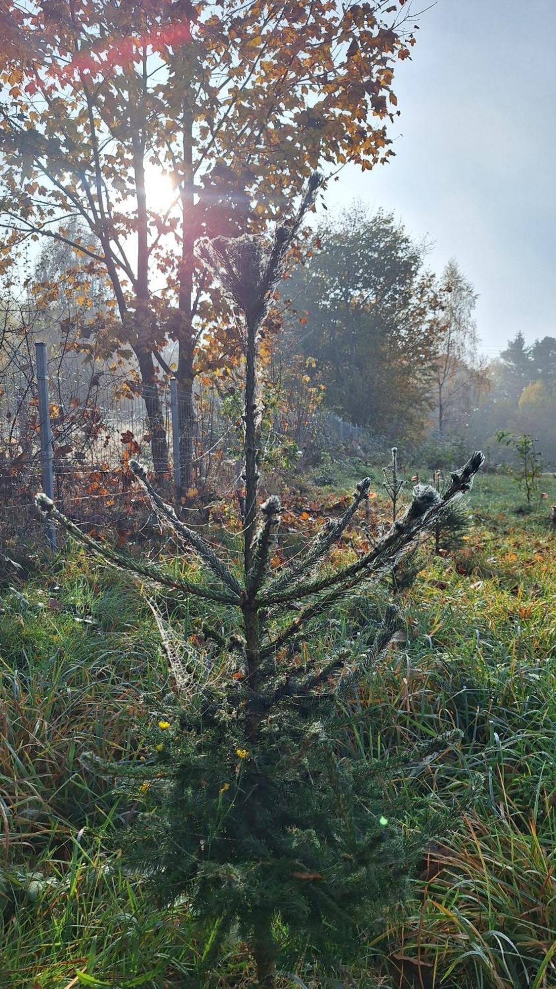 Dom Wakacyjny Kuszewo ชาพลีเนก ภายนอก รูปภาพ